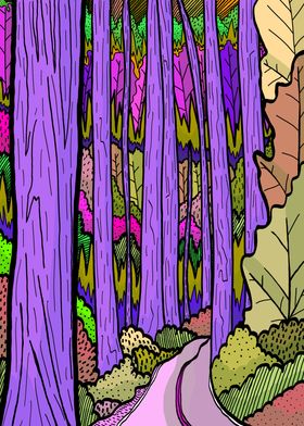 Purple bark forest