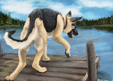 Shepherd on the Dock