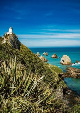 Nugget Point