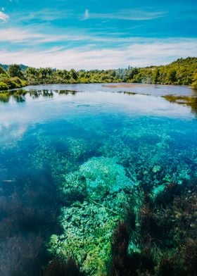 Te Waikoropup Springs