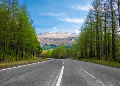 Scottish Landscape