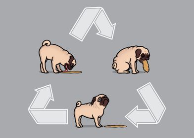 The Cycle of the Pug