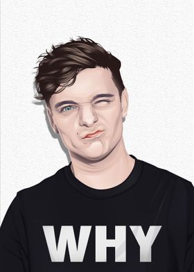 Martin Garrix Vexel Art