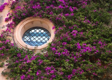 Doors of Malta