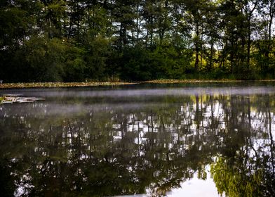 Sunny misty forest lake