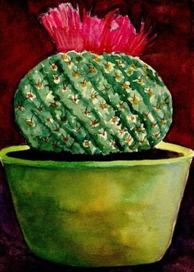 Little Green Cactus