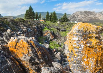 Cliff Path Hermanus