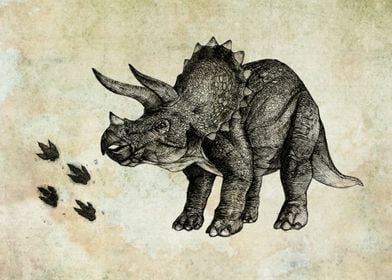 triceratops dinosaur 