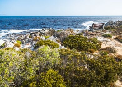 Cliff Path Hermanus