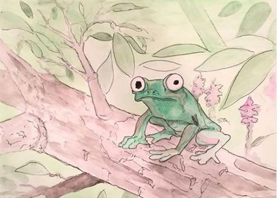 Tree Frog