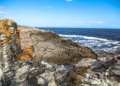 Cliff Path Hermanus