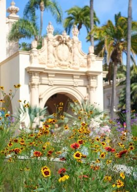 Balboa park in springtime