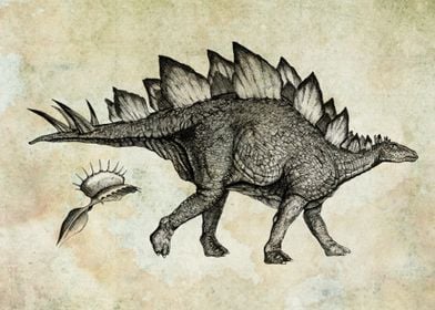 Dinosaur Stegosaure