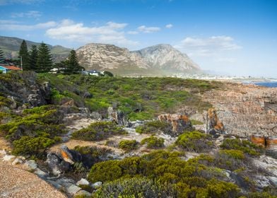 Cliff Path Hermanus