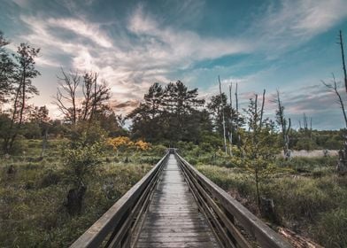 Sunset Path