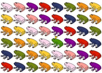 Rainbow Frog Army