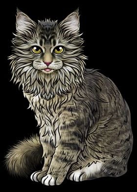 Maine Coon