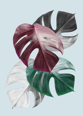 Botanic Art-preview-2