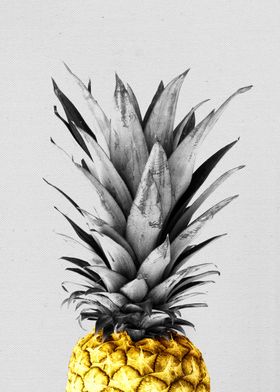 Botanic Art-preview-0