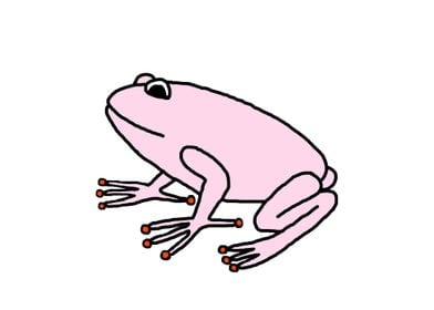 Pink Frog