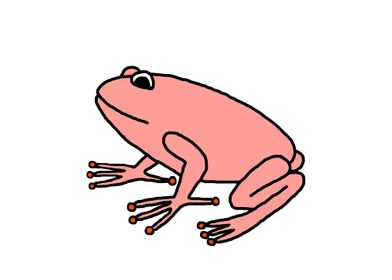 Rose Frog