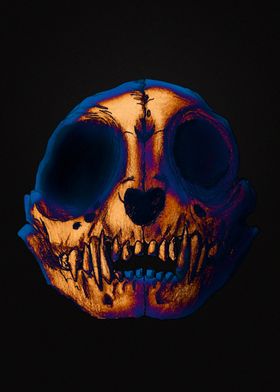 Small monkey skull colored