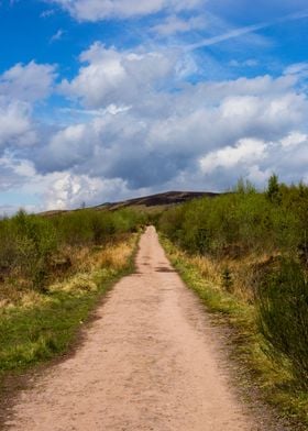 Pathway to the North