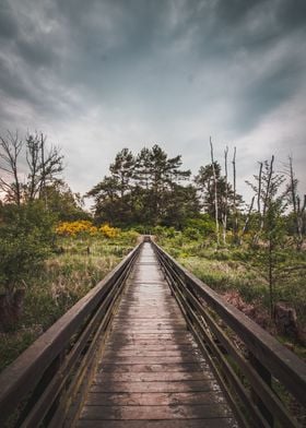 Wooden path