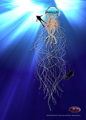 LionMane Jellyfish w/Diver