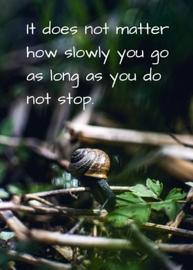 Snail Quote