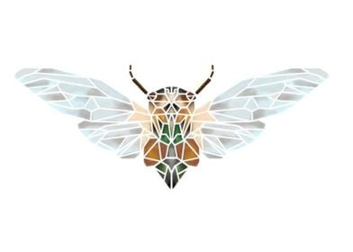 Geometric Cicada