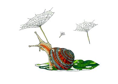 Mr Snail and his umbrellla