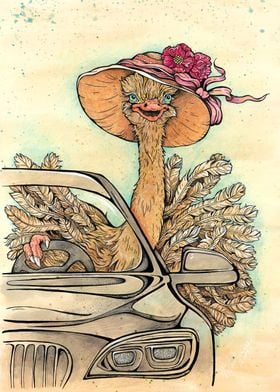 Ostrich behind the wheel