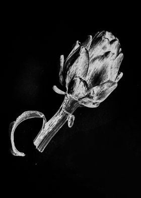 Graphite Artichoke 