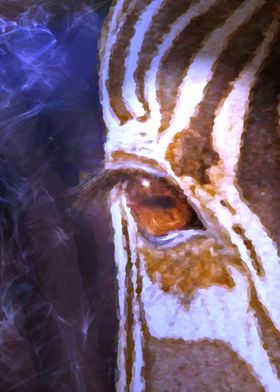 Soul Of The Zebra