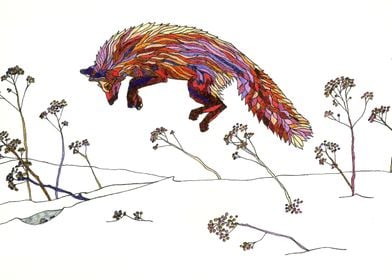 Jumping fox im winter