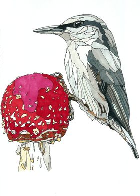 Bird and mushroom
