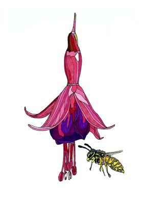 Fuchsia flower and a bee