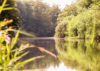 River Ure 