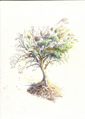 Tree Pathology 