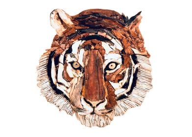 Driftwood Tiger Print