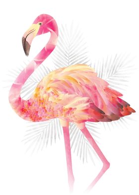 Flamingo