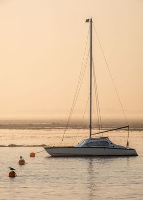 Wells Sailing Boat Sunrise