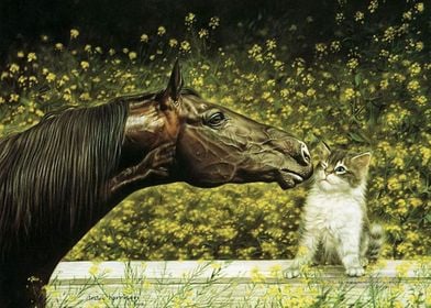 Horse and Cat Canvas