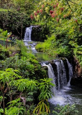 Twin Falls in Maui Hawaii