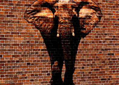 Elephant on a Wall