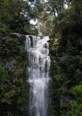 Erskine Waterfall at Lorne