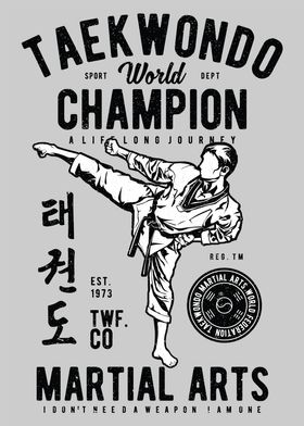 Taekwondo Champion