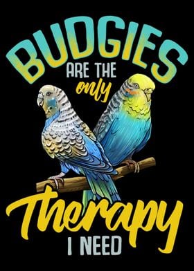 Budgerigar 