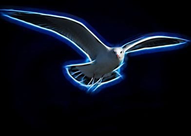 Black seagull background